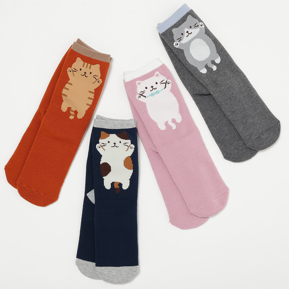 Fuku Fuku Nyanko ソックス – HAPiNS online shop